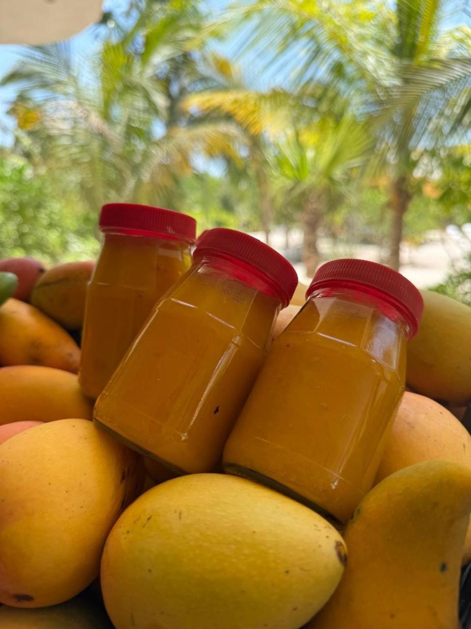 Casa Mia El Cuyo Eco Beach Boutique Hotel エクステリア 写真