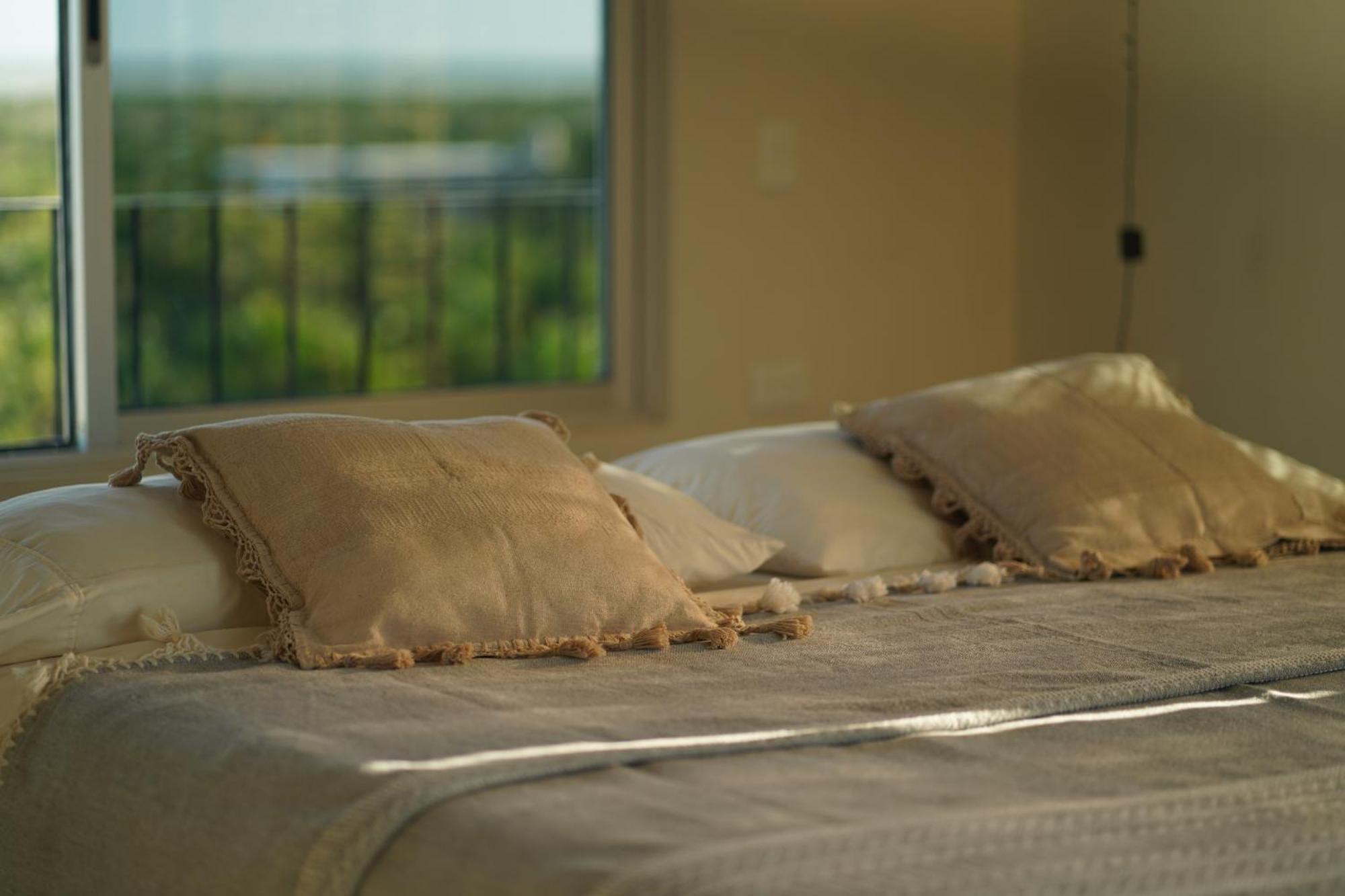 Casa Mia El Cuyo Eco Beach Boutique Hotel 部屋 写真